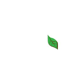 Qstoves